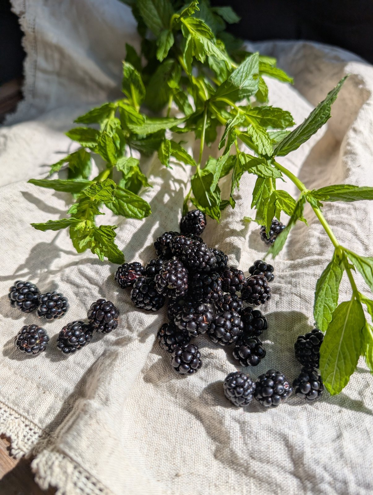 Fresh blackberries and mint gathered on the farm